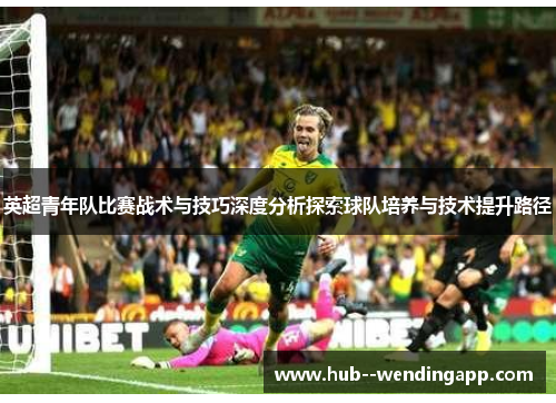 英超青年队比赛战术与技巧深度分析探索球队培养与技术提升路径