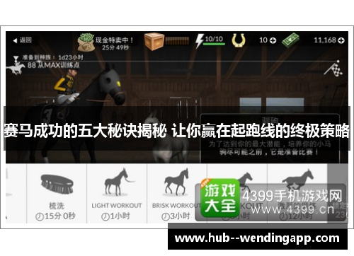 赛马成功的五大秘诀揭秘 让你赢在起跑线的终极策略 赛马成功的五大秘诀揭秘 让你赢在起跑线的终极策略