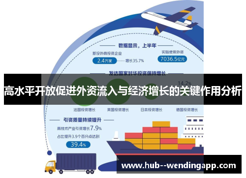 高水平开放促进外资流入与经济增长的关键作用分析