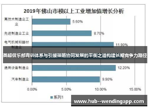 英超俱乐部青训体系与引援策略协同发展的平衡之道构建长期竞争力路径 英超俱乐部青训体系与引援策略协同发展的平衡之道构建长期竞争力路径